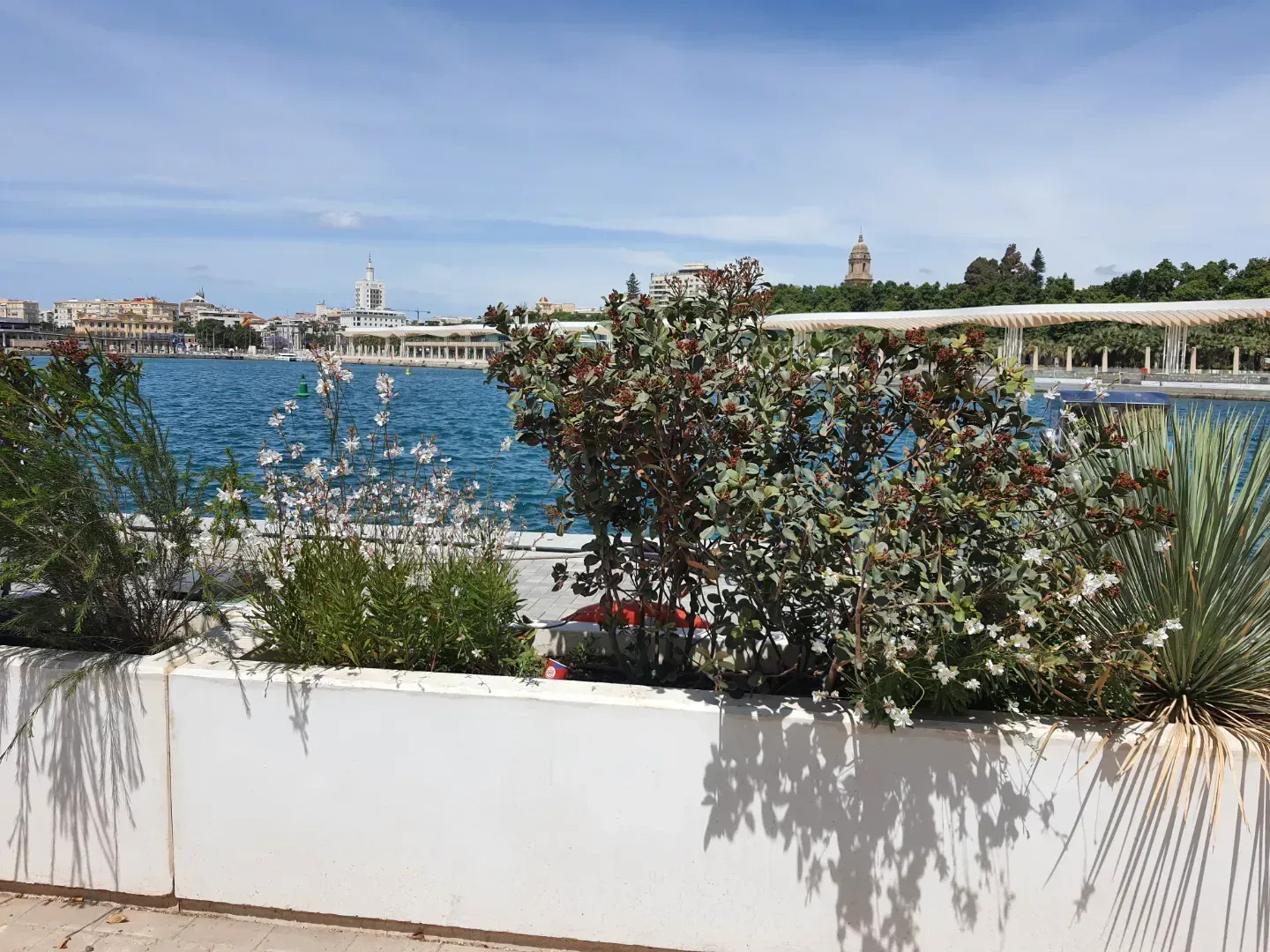 Una jardinera blanca con flores y plantas frente a un cuerpo de agua.