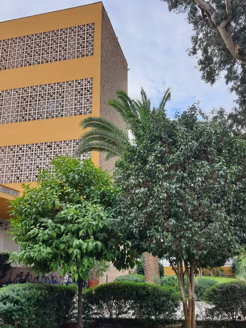 Un gran edificio amarillo con una palmera delante.