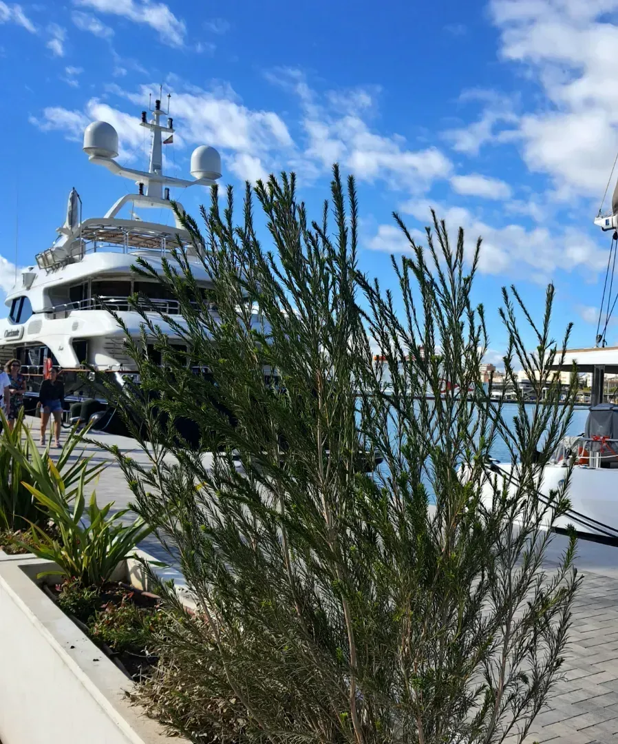 Un gran yate blanco está atracado en un puerto.