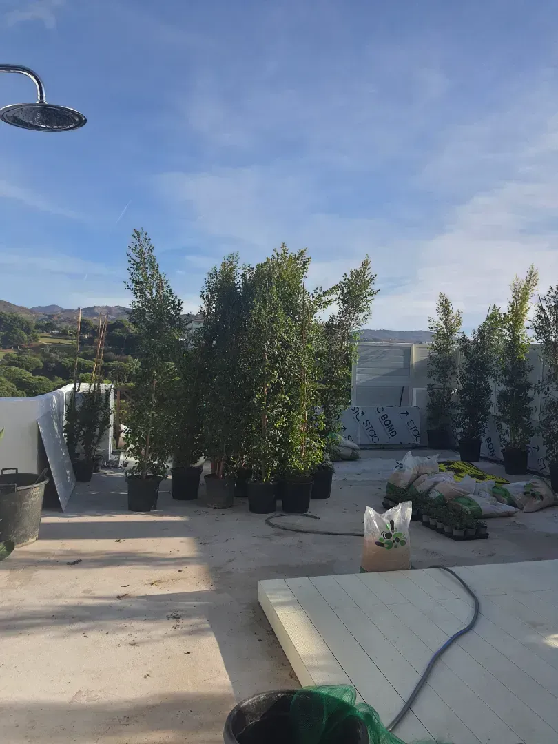 Un jardín en la azotea con muchas plantas en macetas y una ducha.