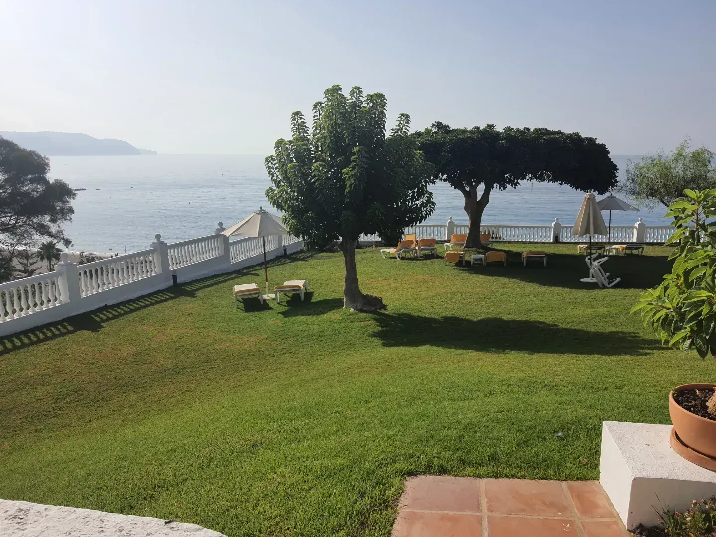 Un exuberante césped verde con vista al océano.