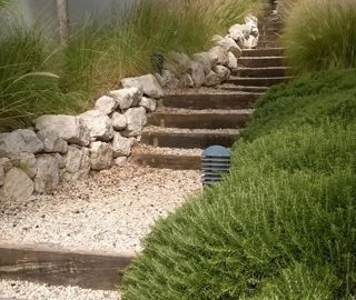 Un perro está bajando unas escaleras en un jardín.
