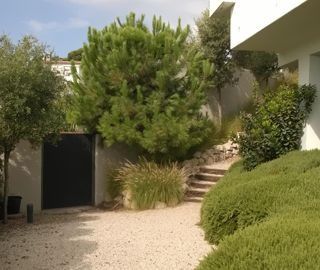 Un camino de grava que conduce a una casa con árboles y arbustos.