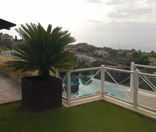 Una palmera en una maceta se encuentra en un balcón con vistas a una piscina.