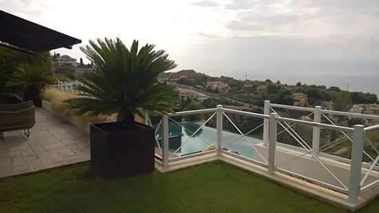 Un balcón con vista a una piscina y una palmera.
