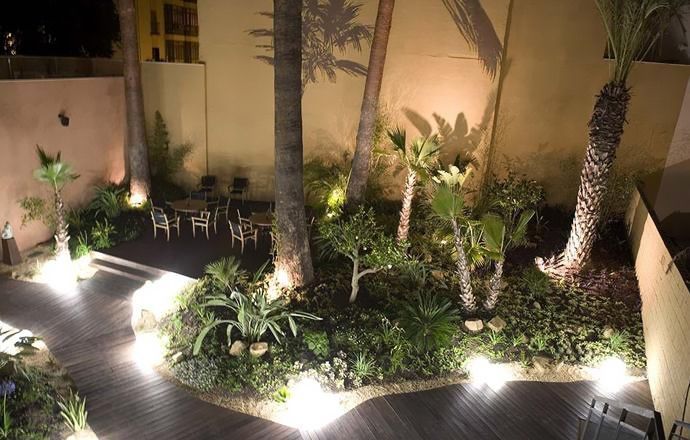 Un jardín con árboles y plantas se ilumina por la noche.