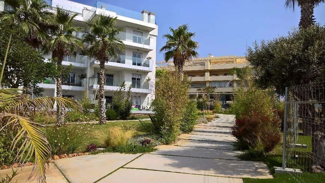 Un camino que conduce a un edificio con palmeras delante de él.