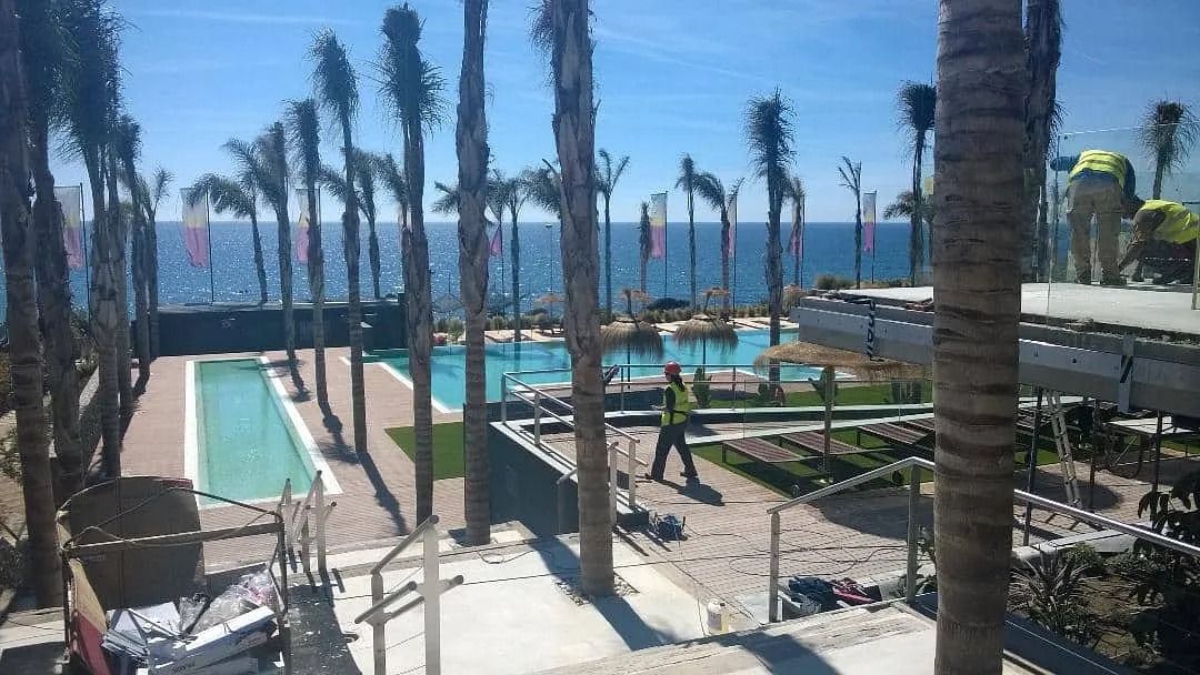 Una vista de una piscina rodeada de palmeras y el océano.