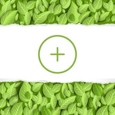 Hay un signo más en el medio de las hojas.