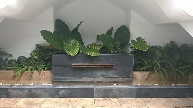 Hay una cascada en el medio de la habitación rodeada de plantas.