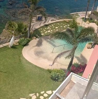 Una vista aérea de una piscina rodeada de palmeras junto al océano.