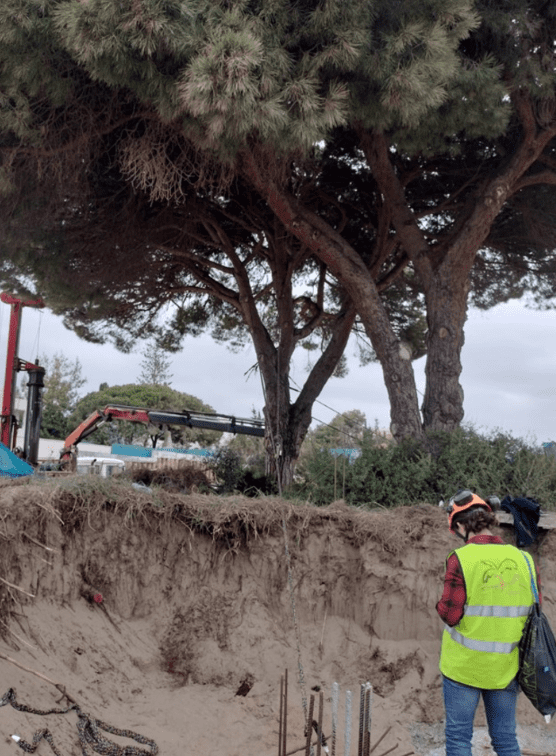 Un hombre con un chaleco amarillo está parado en el suelo cerca de un árbol.