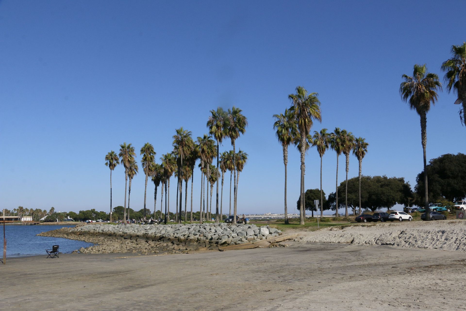 San Diego beach with palm trees