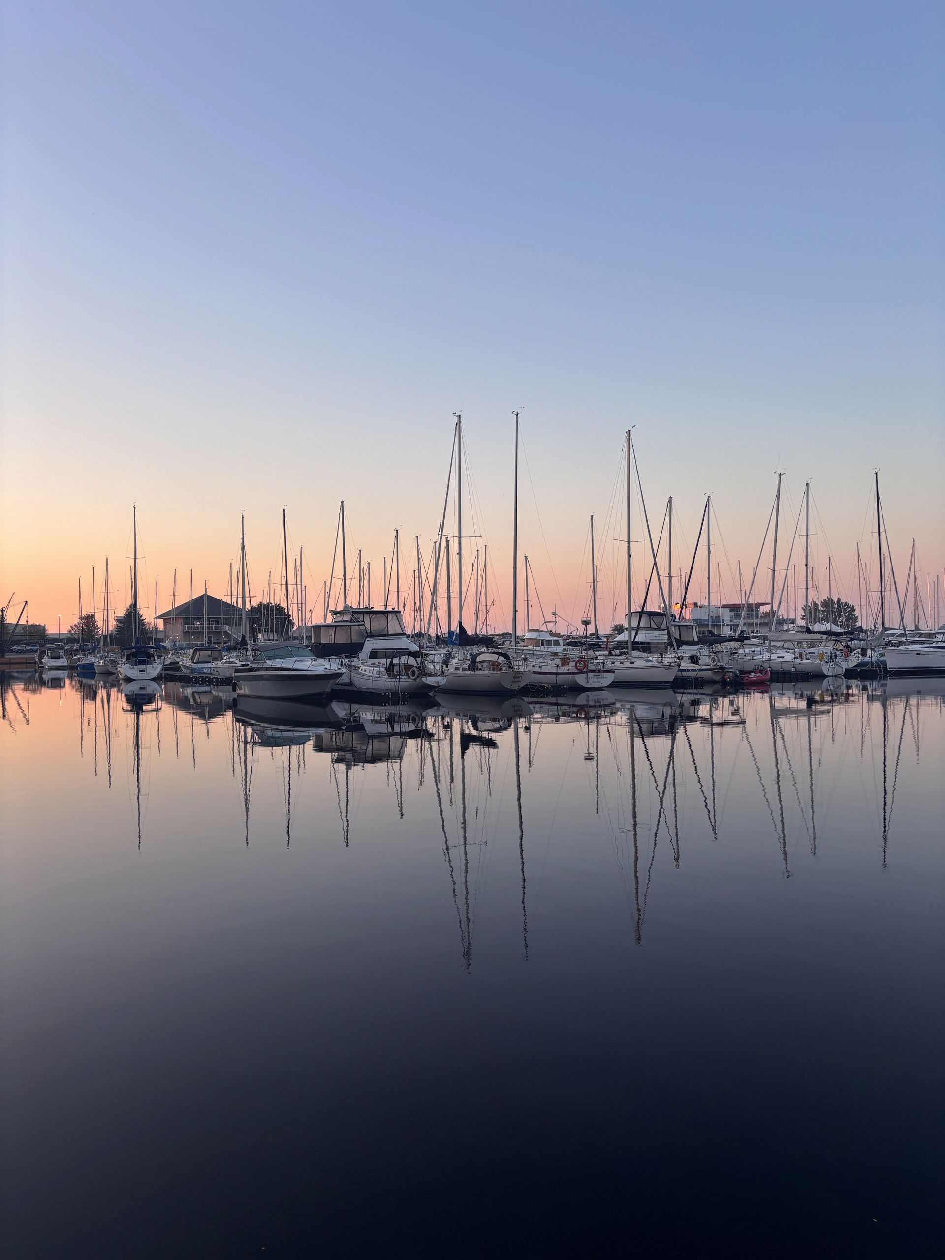 Sailboats in San Diego harbor at sunset