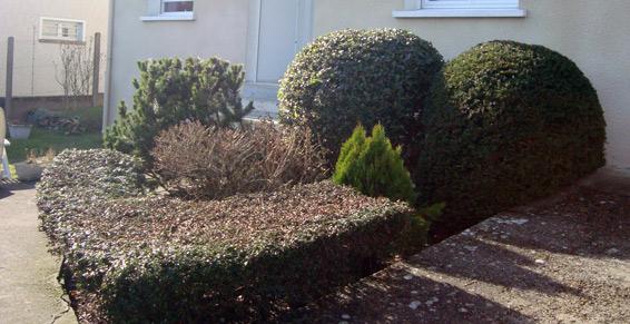 Création d'espaces verts à La Ferté-sous-Jouarre