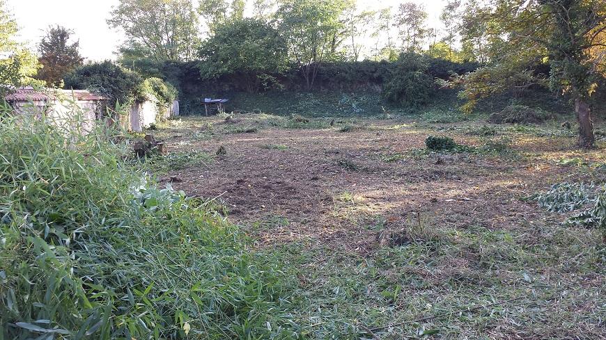 Débroussaillage à Guerard -77