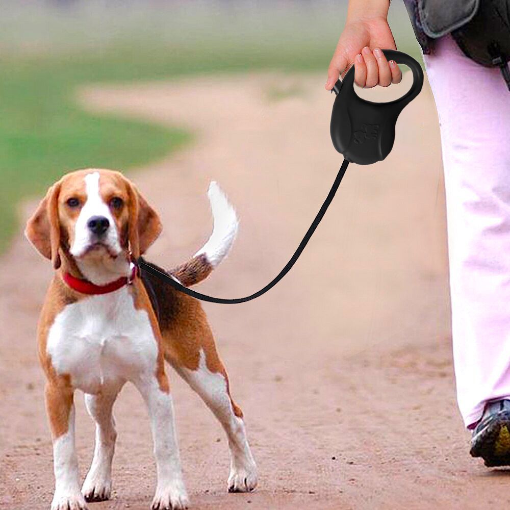 Perro beagle con correa paseando por un camino de tierra; persona sosteniendo una correa retráctil.