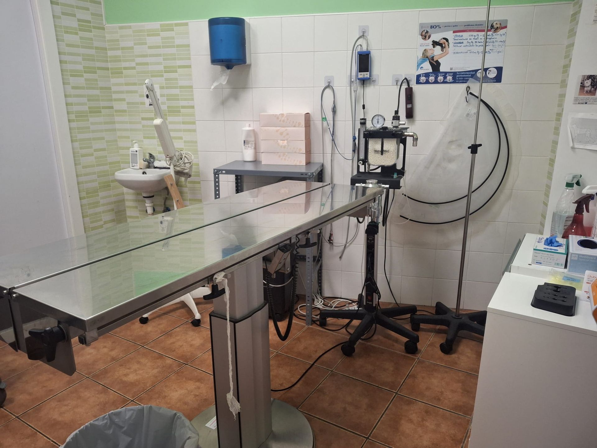 Sala de exploración en clínica veterinaria con mesa de acero inoxidable y equipamiento médico.