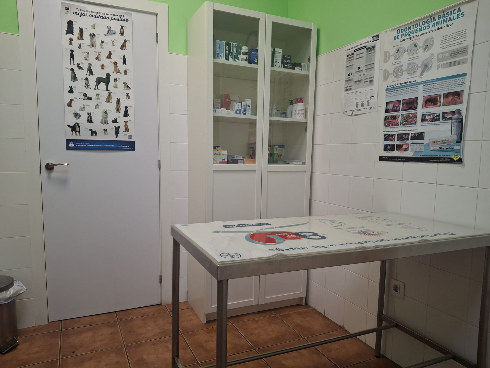 Sala de exploración veterinaria: mesa de acero inoxidable, armarios blancos con medicación, carteles, paredes verdes y blancas.