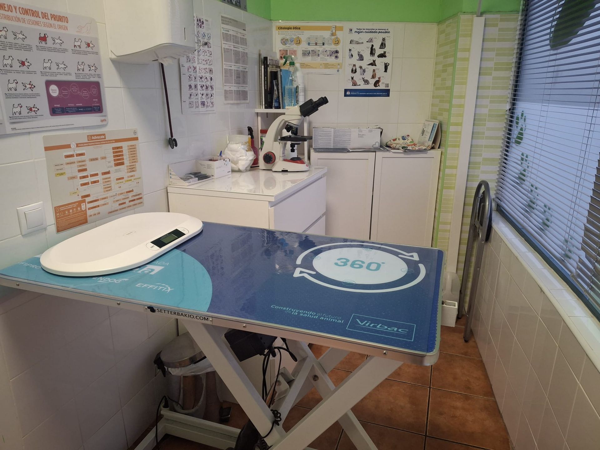 Sala de examen veterinario con mesa, báscula y microscopio. Se ven armarios blancos, carteles y una ventana.