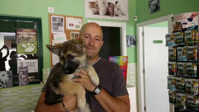 Hombre sosteniendo un cachorro en una clínica veterinaria, rodeado de suministros y materiales promocionales.
