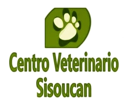 Centro Veterinario Sisoucan