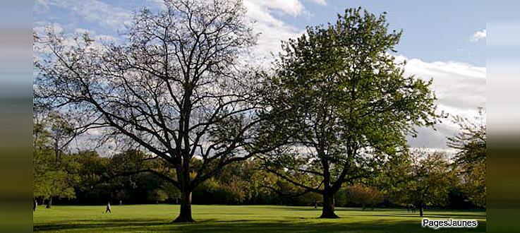 Aménagement de jardins