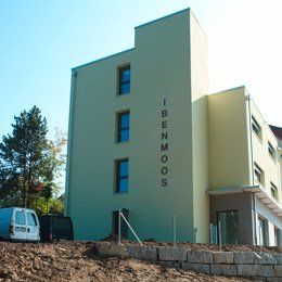 Haus - Maler Denis Widmer