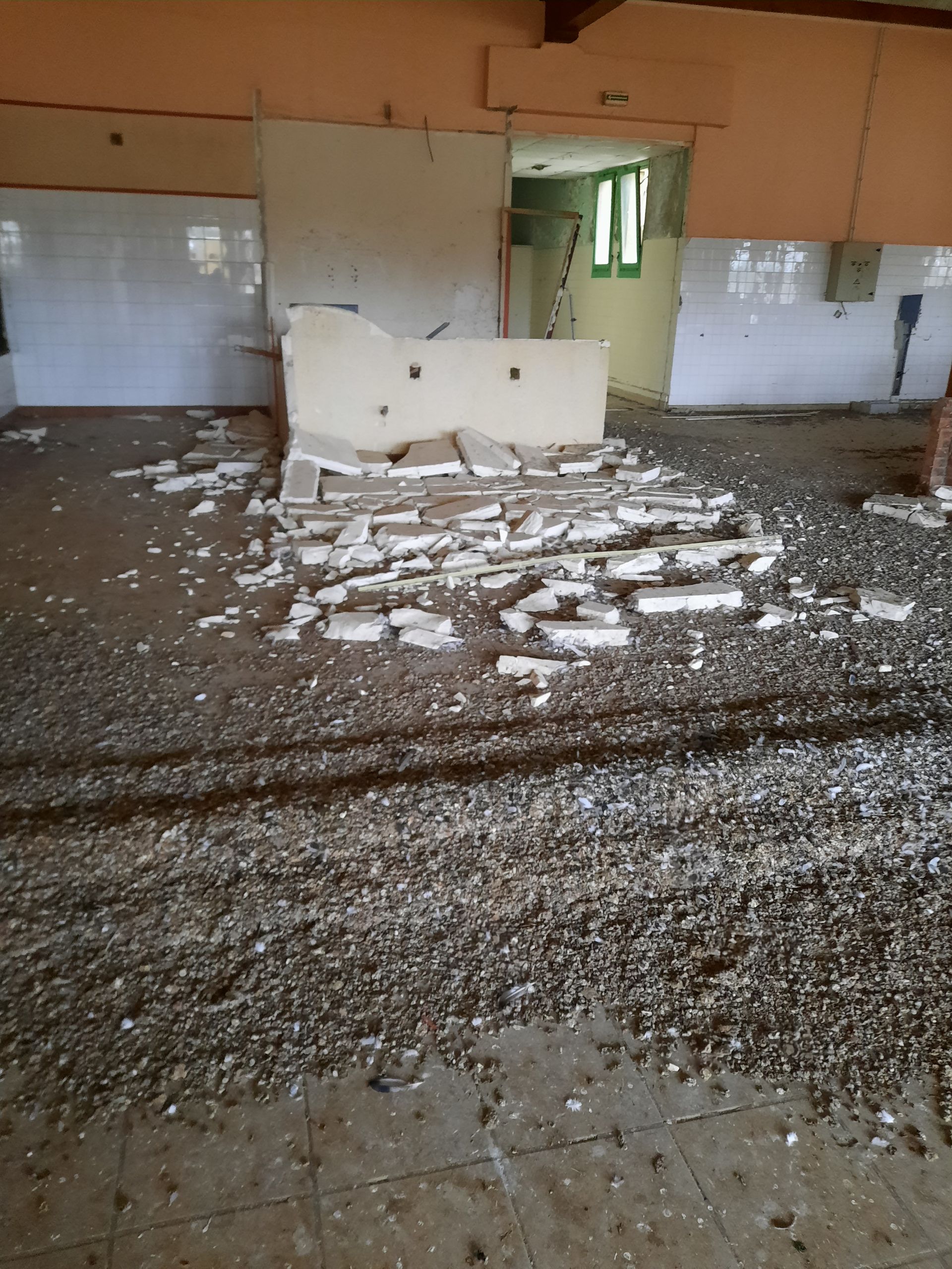 Échelle devant un mur à moitié peint