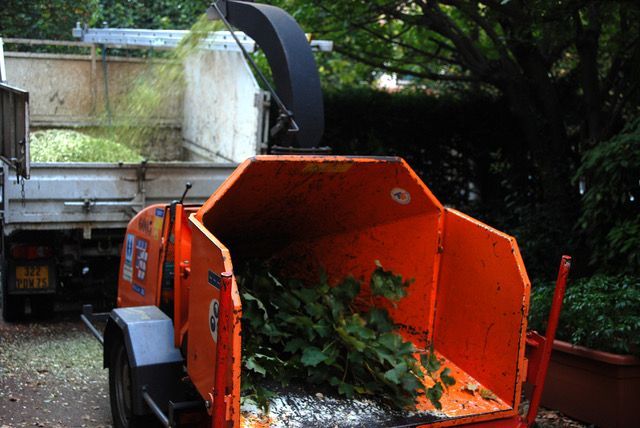 Un broyeur de branches d'oranger déverse des branches et des débris à l'extérieur, près d'un camion.