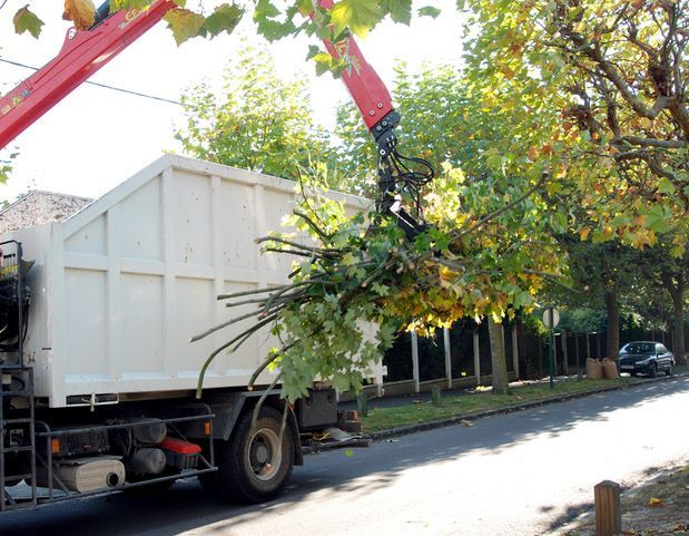 Camion-grue soulevant un arbre au bord d'une rue bordée d'immeubles et de feuillage d'automne