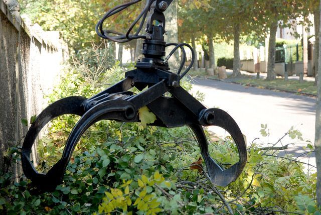 Une griffe mécanique noire agrippant des buissons verts au bord d'une route ensoleillée