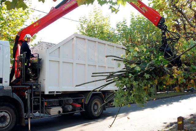 Un camion-grue rouge soulève un gros arbre ou un buisson pour le charger dans un camion-benne blanc dans une rue.
