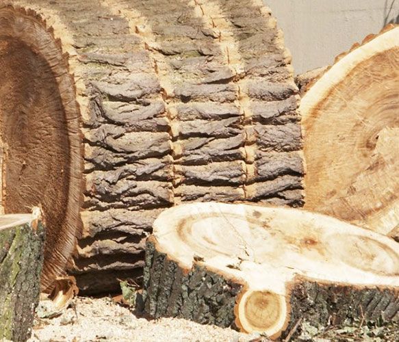 Bûches coupées et tranches de bois empilées en tas à l'extérieur
