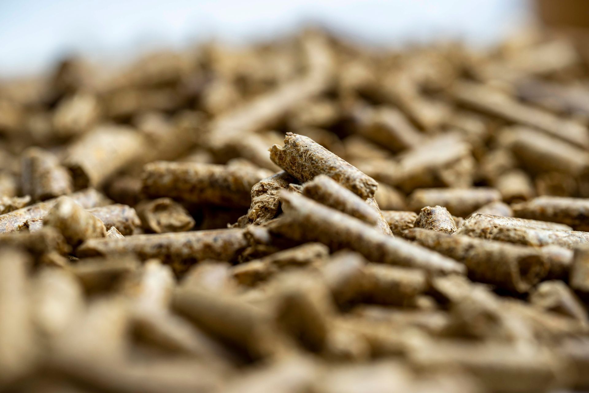 Eine Nahaufnahme eines Stapels Holzpellets auf einem Tisch.
