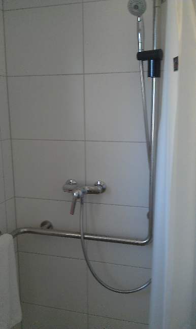Dusche mit wandmontiertem Haltegriff und Handbrause in einem gefliesten Badezimmer