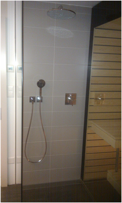 Badezimmer mit Dusche, gefliester Wand, Handbrause und angrenzender Saunabank aus Holz.