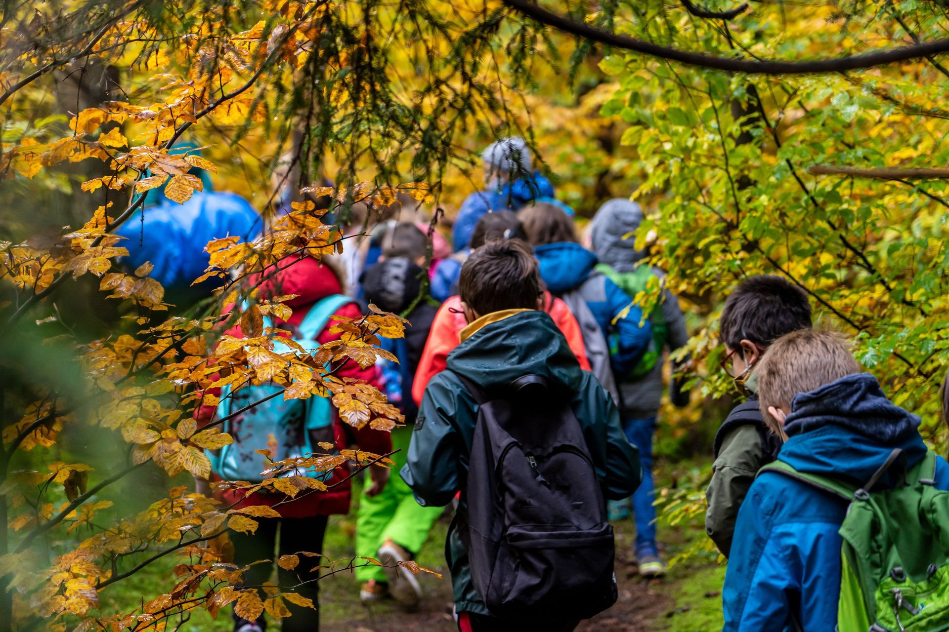 Des enfants en sortie scolaire avec des sacs à dos colorés marchent le long d'un sentier forestier