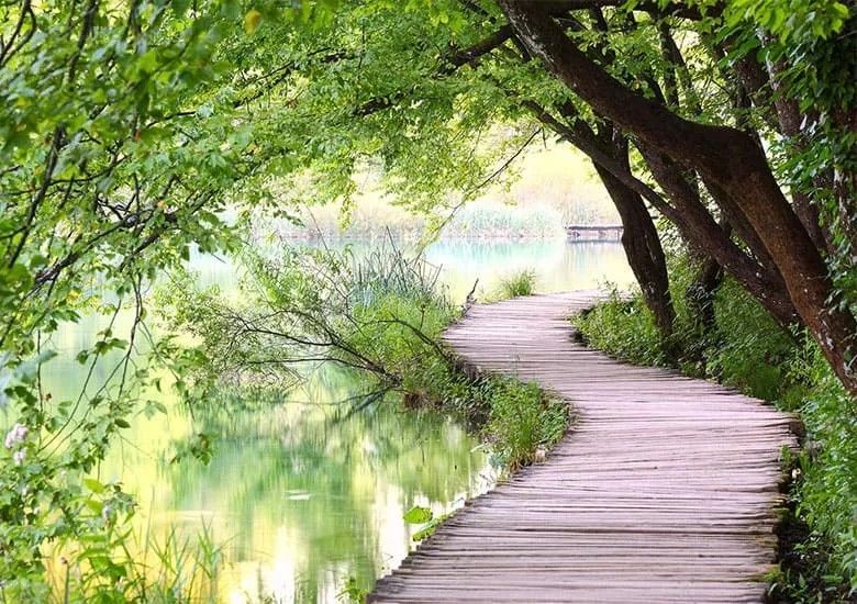 Ein Holzsteg, der zu einem von Bäumen umgebenen See führt.