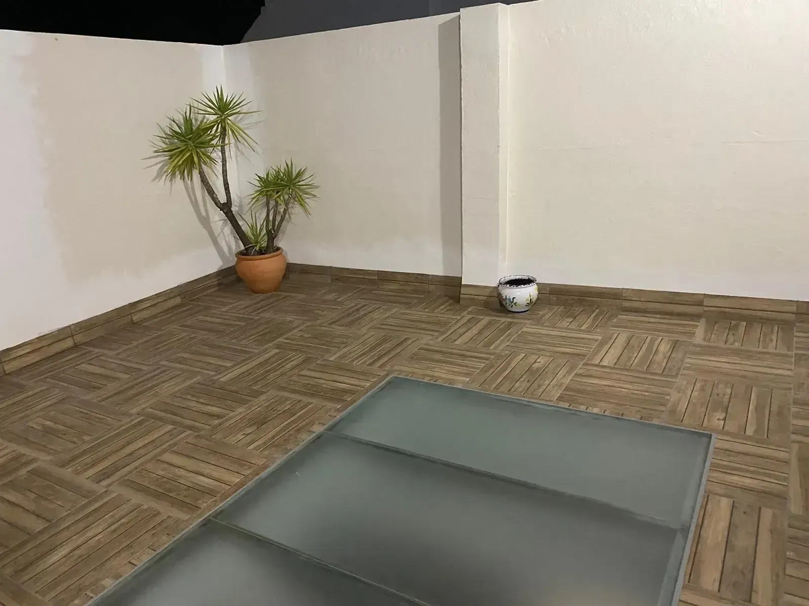 Habitación vacía con suelo de imitación madera, paredes blancas, una planta en maceta y una alfombra gris en primer plano.