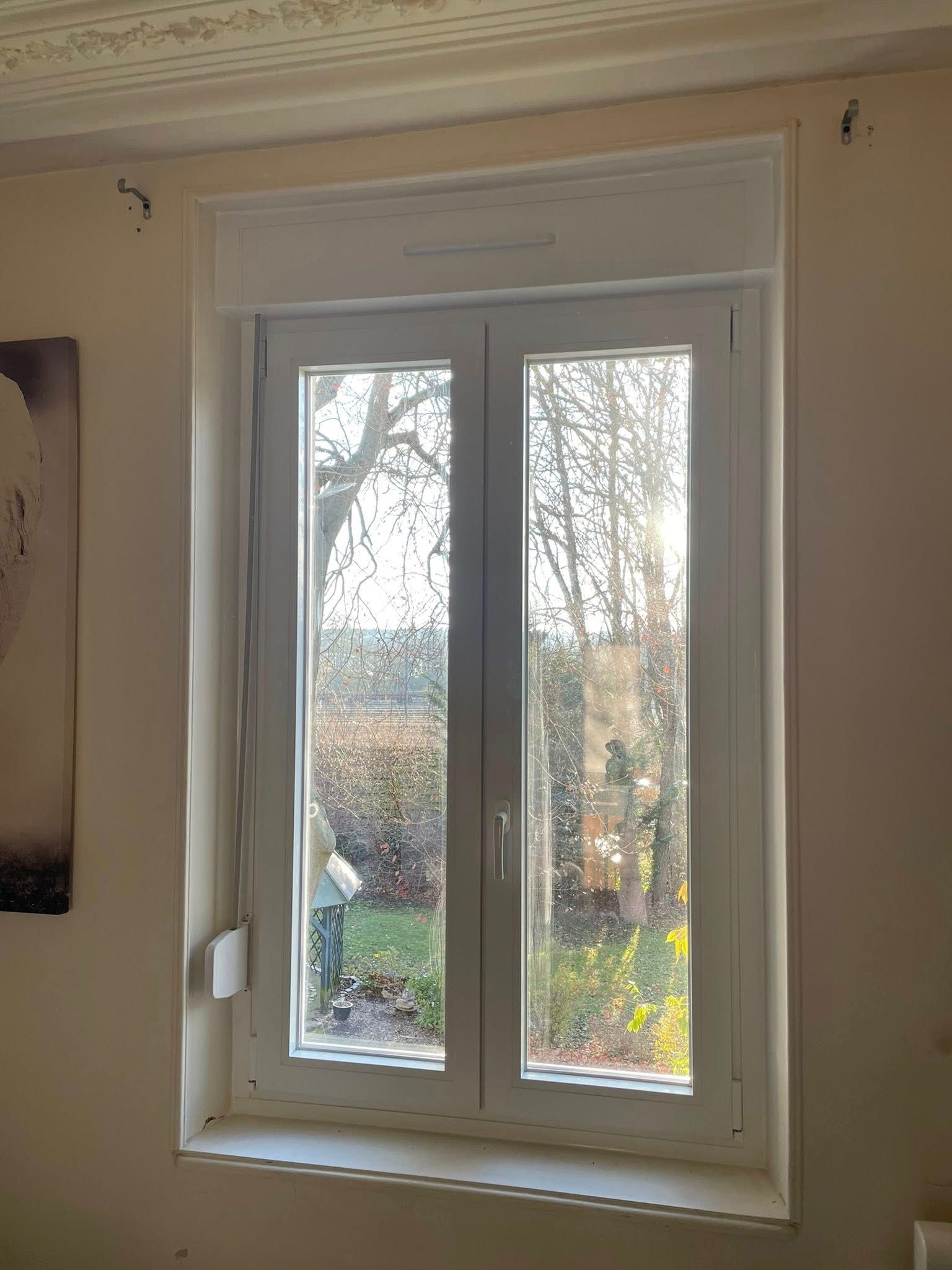 Fenêtre blanche à double vitrage avec un volet blanc fermé, arbres visibles à l'extérieur.