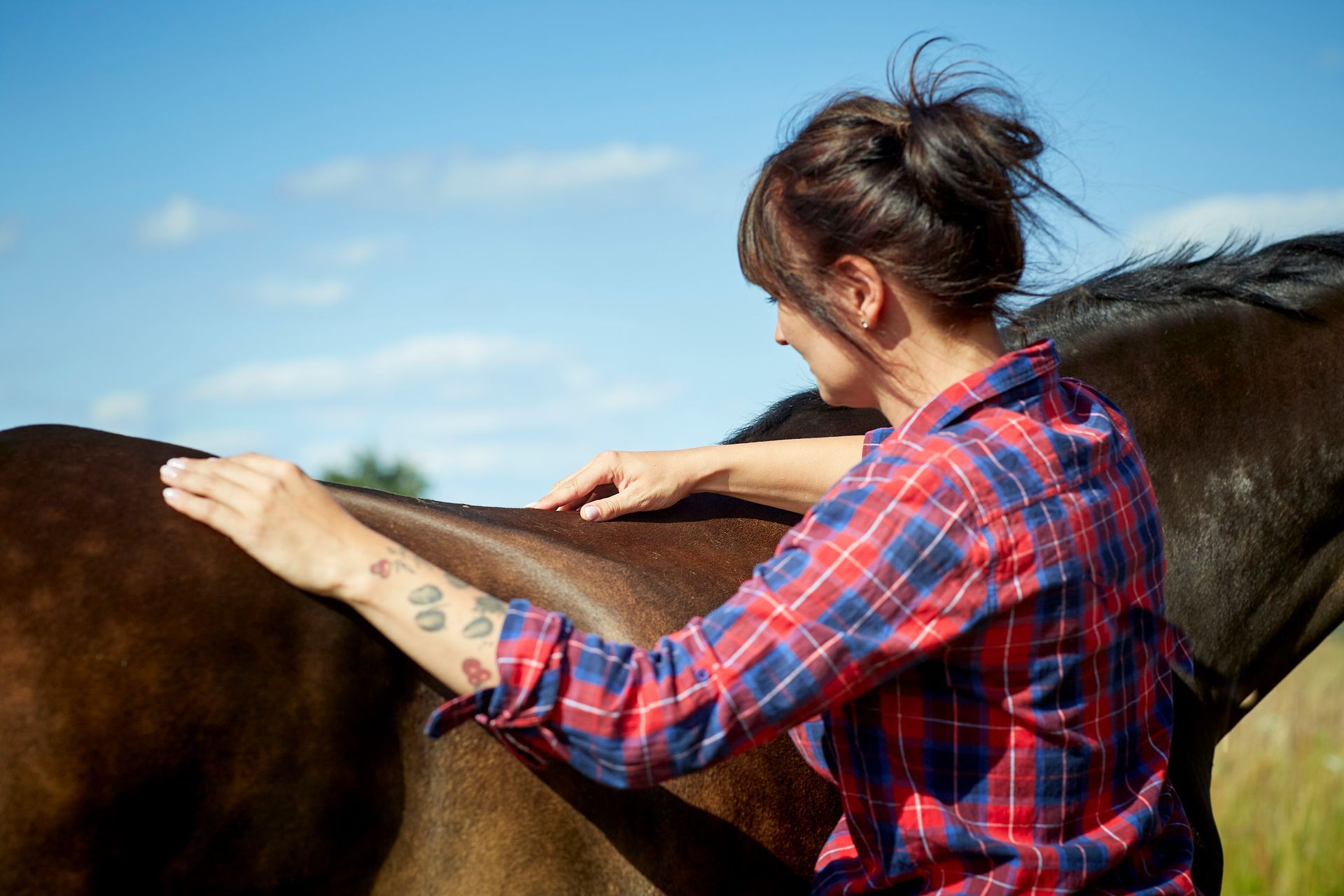 Eine Frau in einem karierten Hemd betrachtet an einem sonnigen Tag im Freien den Rücken eines dunklen Pferdes.