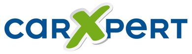 logo carxpert garage bleu et vert