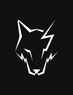 logo-WolfElec Sàrl