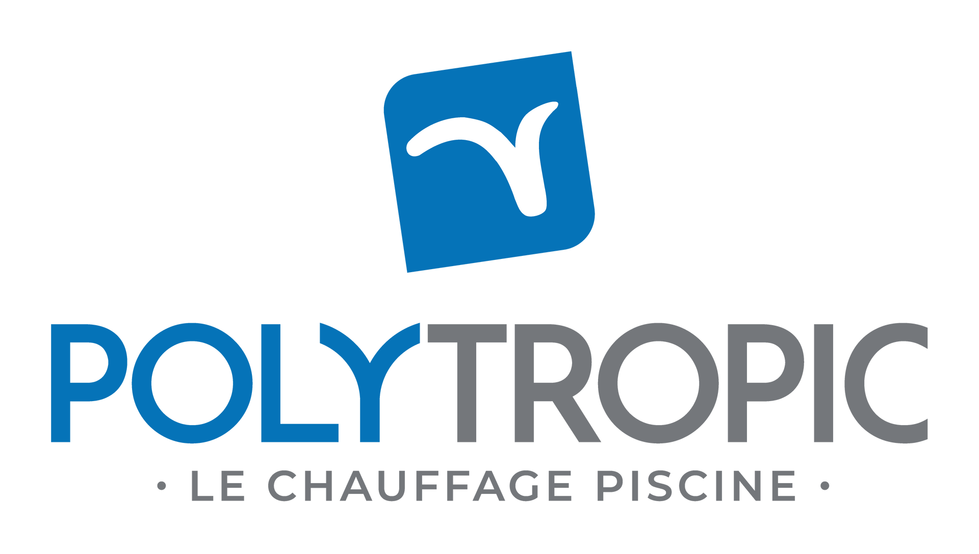 Logotype Polytropic.