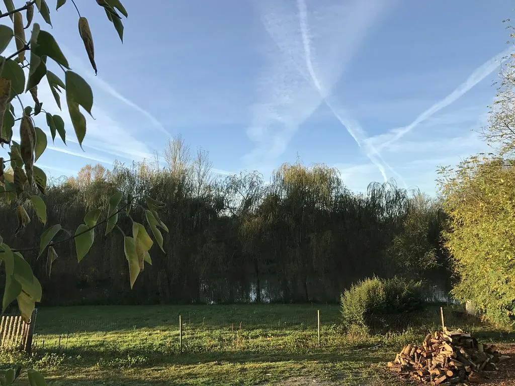 Ciel bleu avec des traînées de condensation au-dessus d'un champ vert, d'arbres et d'un tas de bois de chauffage.
