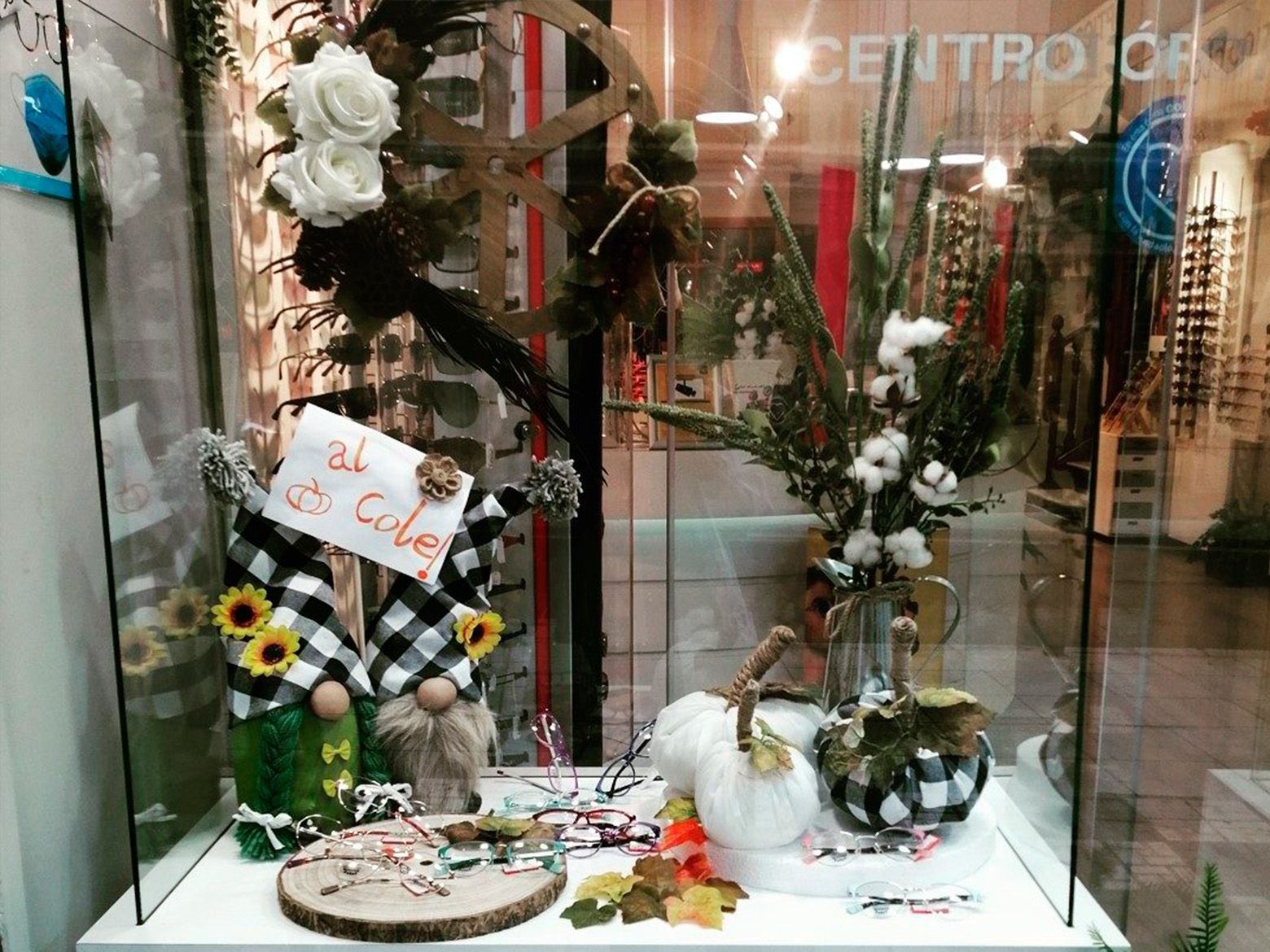 Un escaparate con una exposición de flores y gnomos.
