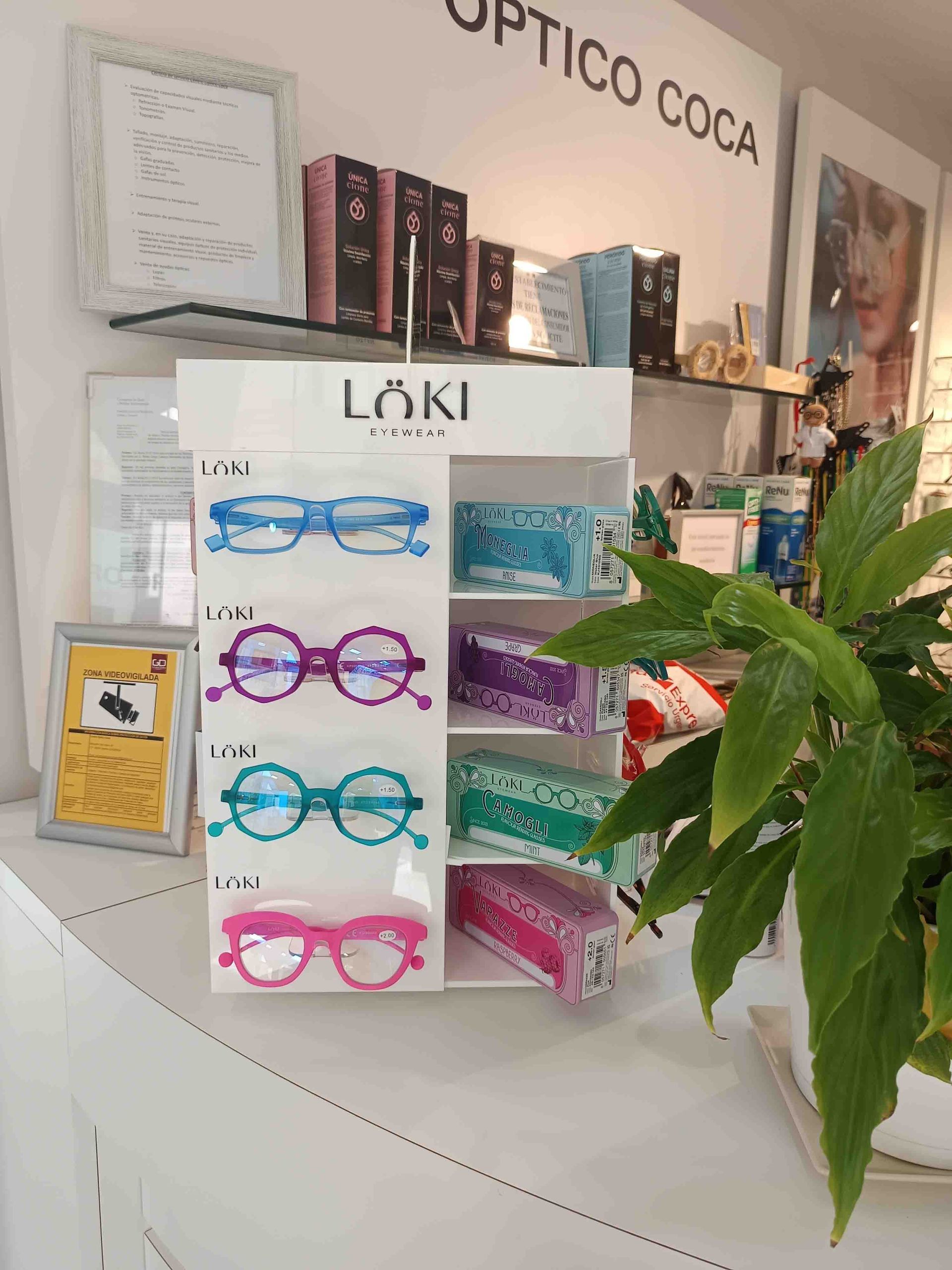 Una exposición de vasos en una tienda con una planta en primer plano.