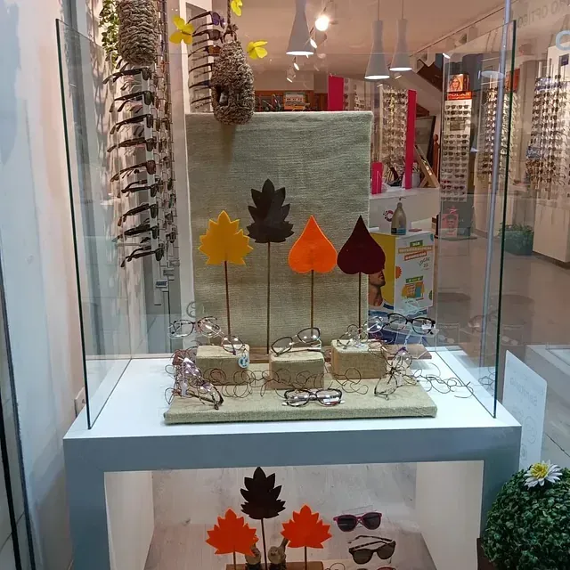 Una exhibición de gafas y gafas de sol en el escaparate de una tienda.