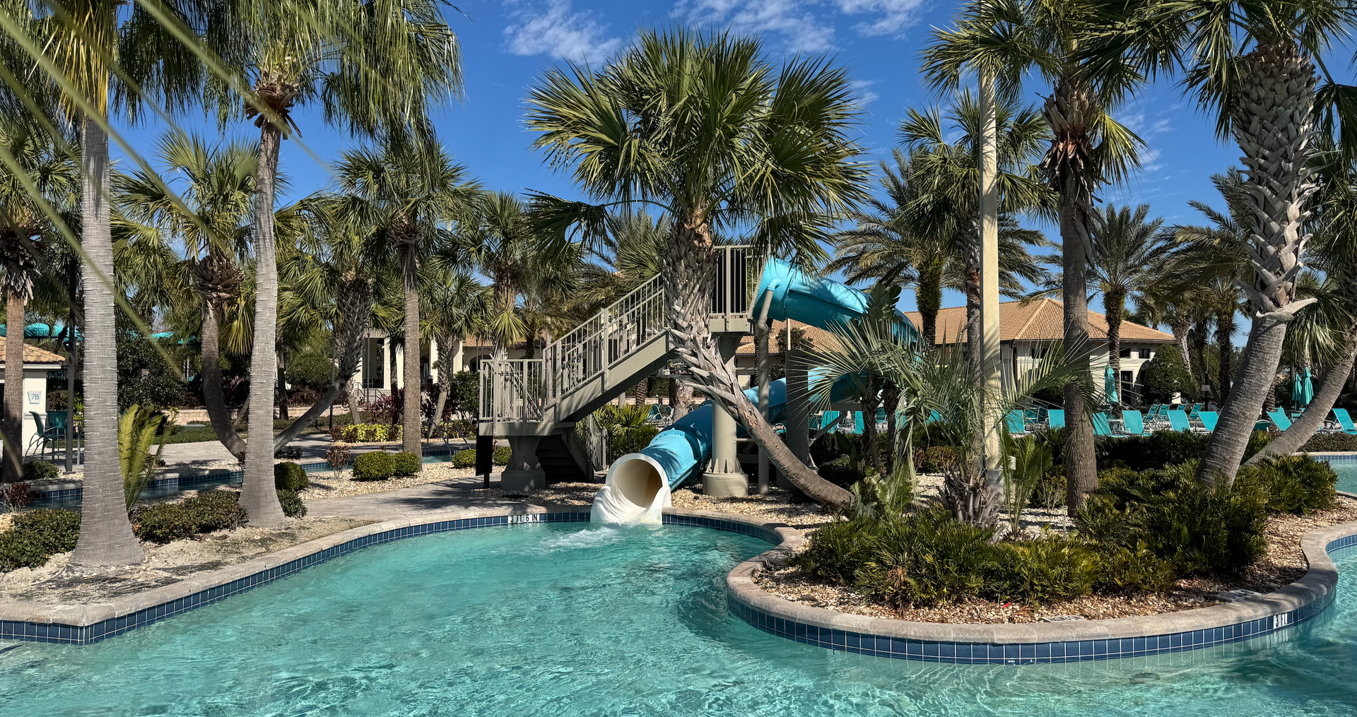 A large swimming pool surrounded by palm trees and a water slide.